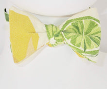 Lemon/Lime print Bow Tie